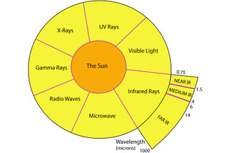 Far Infrared Light Therapy vs. Red Light Therapy: What’s the Difference and Which One Works Best? Far Infrared Light Therapy vs. Red Light Therapy: What’s the Difference and Which One Works Best?