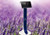 Richway Aroma Stand in a field of lavender close up.