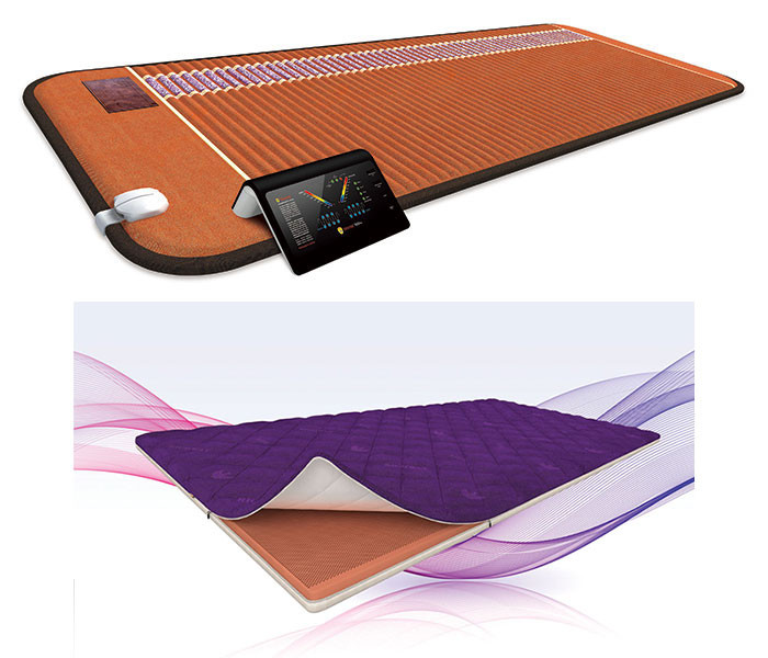 Biomat  Professional and Quantum Energy Pad Bundle