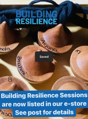 Building Resilience Ayurvedic Session