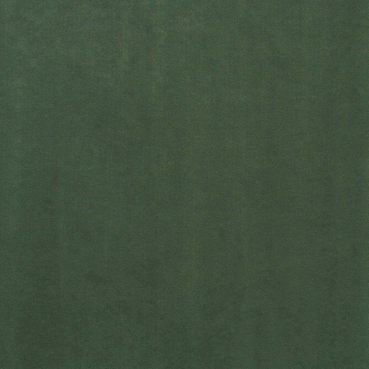 WINTHROP EUCALYPTUS  GRADE: V CONTENT: 18% COTTON,82% POLYESTER