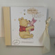 EX DISPLAY - Disney Widdop Double Pack Minnie Mouse Baby Passport Holder and Tag and Winnie the Pooh Photo Album