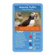 Birds Top Trumps Card Game