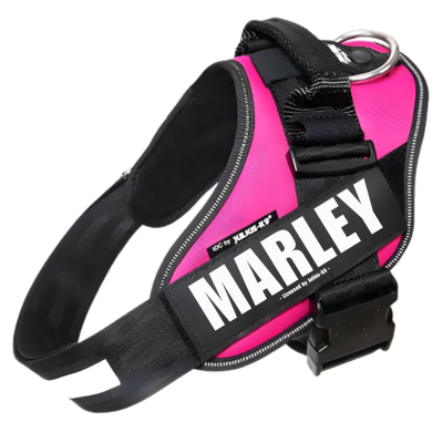 Personalised Dog Harnesses