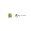 Shimmering Stud Birthstone Earrings