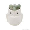 Owl Figurine Ceramic Crystal Container Home Décor