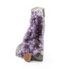 Amethyst Purple Geode with tiny crystals - 4 inch