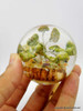 Bag of 10 mixed Orgonite Spheres with Crystal Trees