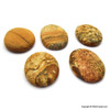Picture Jasper Oval Worry Stone