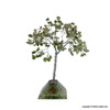 Crystal Gem Tree with Orgonite Pyramid - 150 Beads - 8 Inch Crystal Gem Tree with Orgonite Pyramid - 150 Beads - 8 Inch