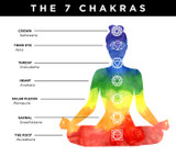 7 Chakras in a Human body | Healing Meditation Chakras