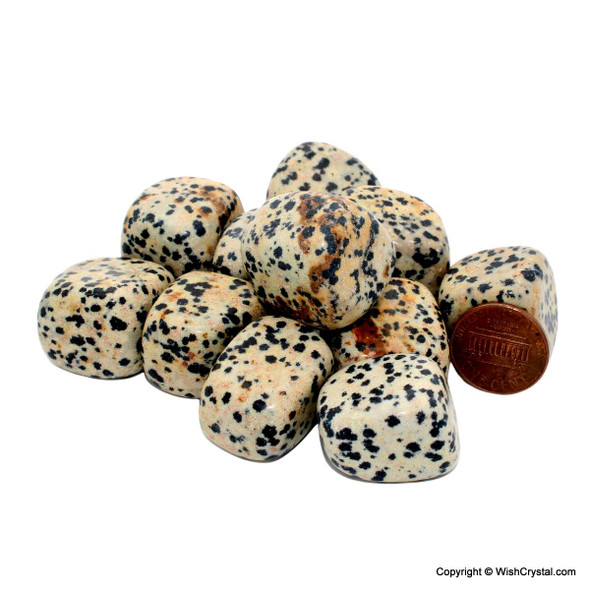 Dalmatian Jasper Tumbles Bag per kilogram Dalmatian Jasper Tumbles Bag per kilogram