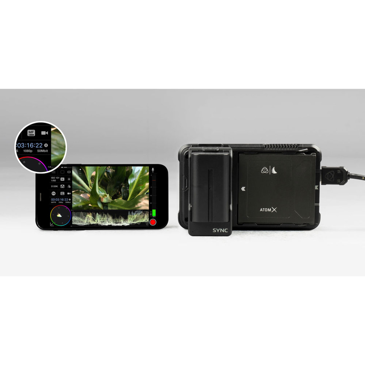 Atomos AtomX SYNC - Yingkee Photo