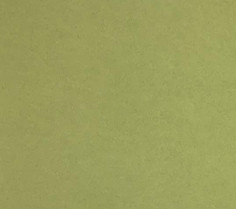 Superior Seamless Paper仙麗攝影背景紙 05 草綠色grass Green 2 72m X 11m