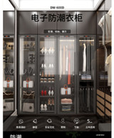 Lenthem DW-600DⅡ-R product image 1