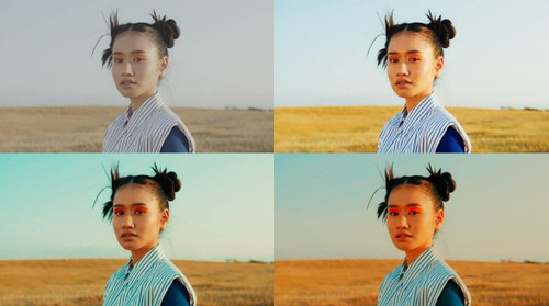 Ninja TX LUTS