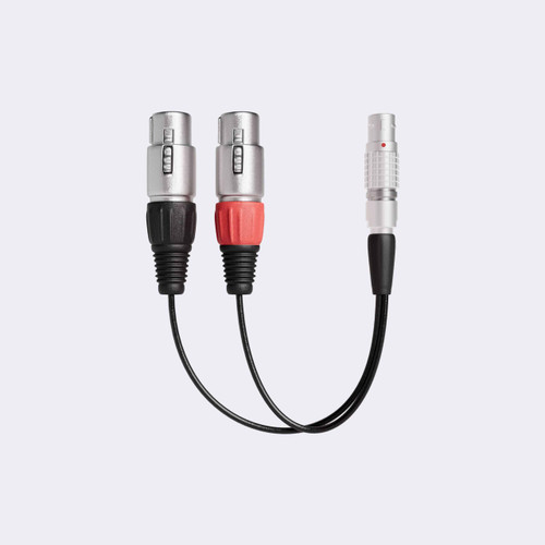 Atomos Shogun 7／Classic XLR 輸入分接線