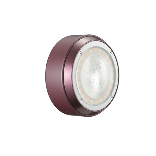 Godox A2 Smartphone Xenon Flash 磁吸手機閃光燈 (酒紅色)