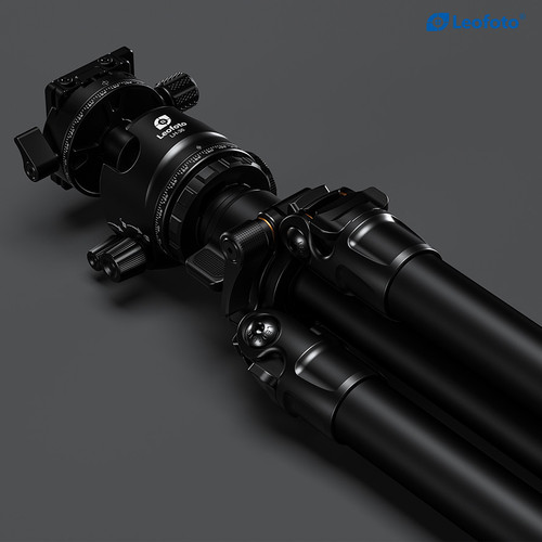 Leofoto LG-284C+LH-36R Black 碳纖維三腳架