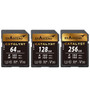Exascend Catalyst UHS-I V30 SD Card 記憶卡