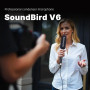 Saramonic SoundBird V6 Shotgun Microphone 專業指向性麥克風