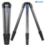Leofoto LM-364CL Summit Series Carbon Fiber Tripod 拍鳥三腳架