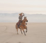 Polarpro Portra True Color PL + White Mist 1/4 Filter 82mm 濾鏡