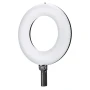 Godox 神牛 LR150 Air Inflatable Bi-color LED Ring Light 雙色温充氣環形燈