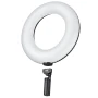 Godox 神牛 LR150 Air Inflatable Bi-color LED Ring Light 雙色温充氣環形燈