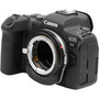 Megadap M2RF 安裝於 Canon EOS R6 相機