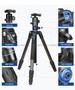 Benro 百諾 GC268TB2 Tripod 碳纖維橫置中軸腳架