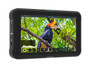 Atomos Shinobi HDMI Monitor 5.2吋影像監視器