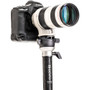 Benro 百諾 MSDPL46CCN SupaDupa Monopod 碳纖維單腳架