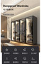 Lenthem DW-500DⅡ product image 1