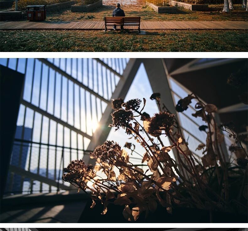 7artisans 18mm F5.6 Full Frame 圖文介紹 23
