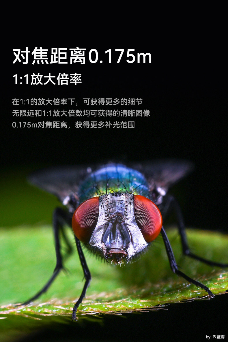 7artisans 60mm F2.8 Macro Mark II 圖文介紹 02