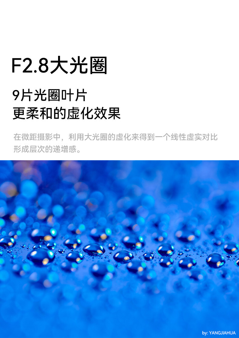 7artisans 60mm F2.8 Macro Mark II 圖文介紹 05
