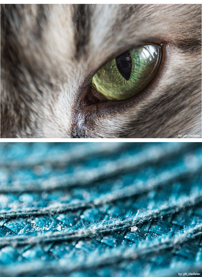 7artisans 60mm F2.8 Macro Mark II 圖文介紹 16
