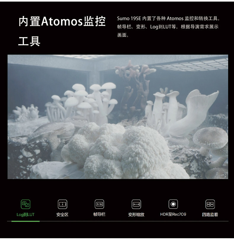 atomos sumopro19 04