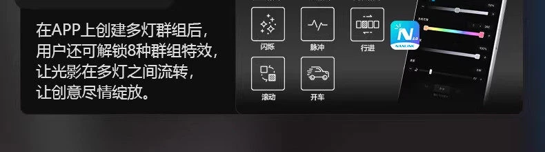nanlite 6cp22