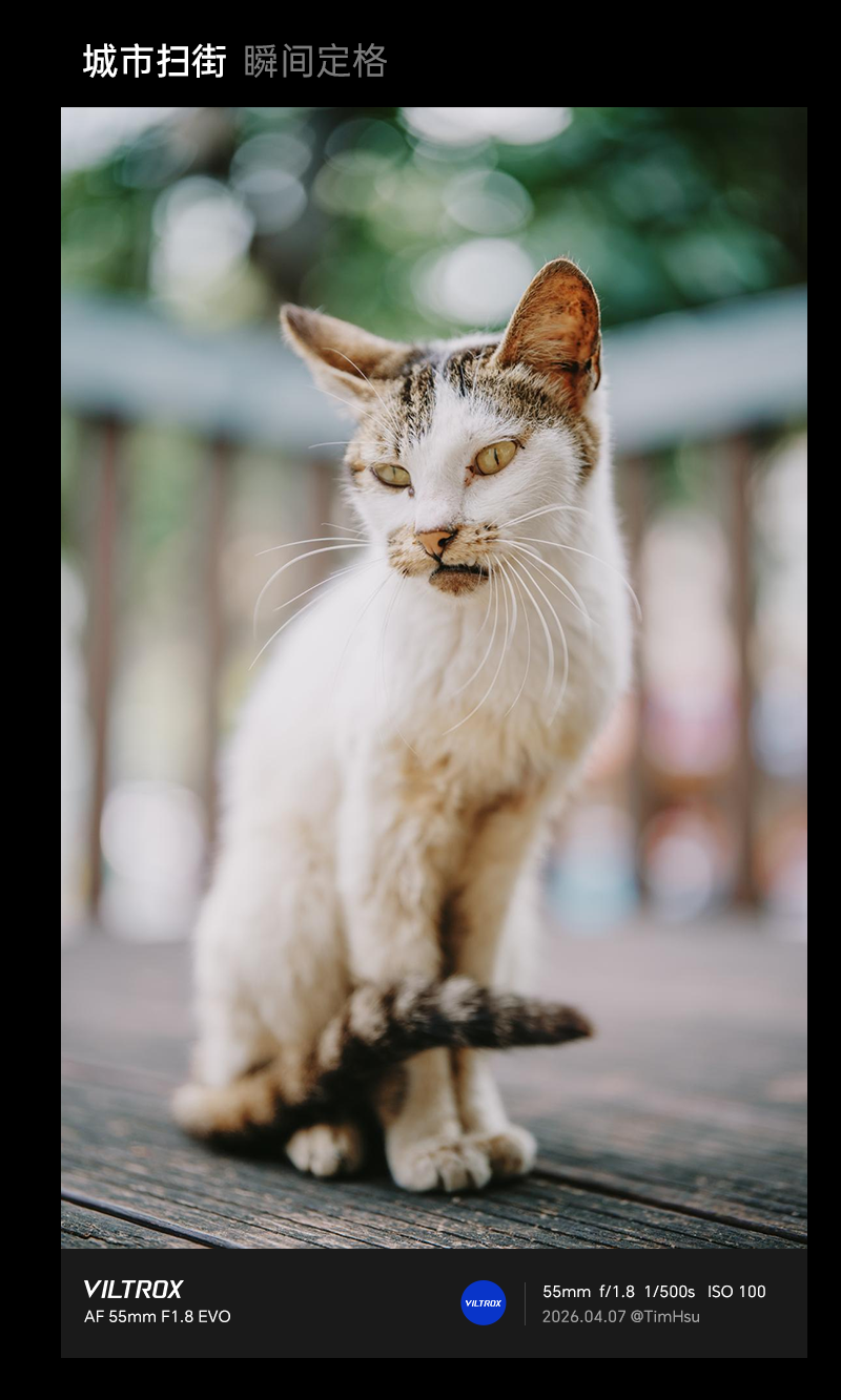 viltrox af 55mm f1 8 evo 33