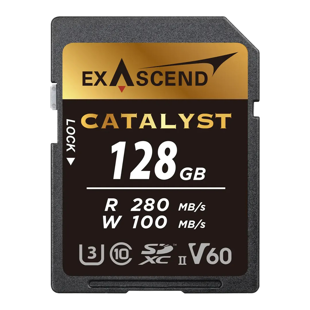 Exascend Catalyst UHS-II V60 SD Card 記憶卡 (256GB)