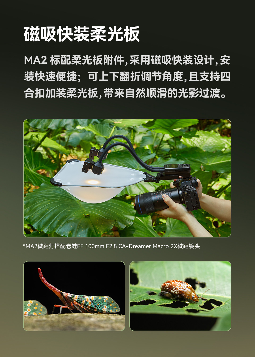 Godox 神牛 MA2 Flexible Macro Twin Light 可調柔性雙頭微距補光燈 圖文描述 07
