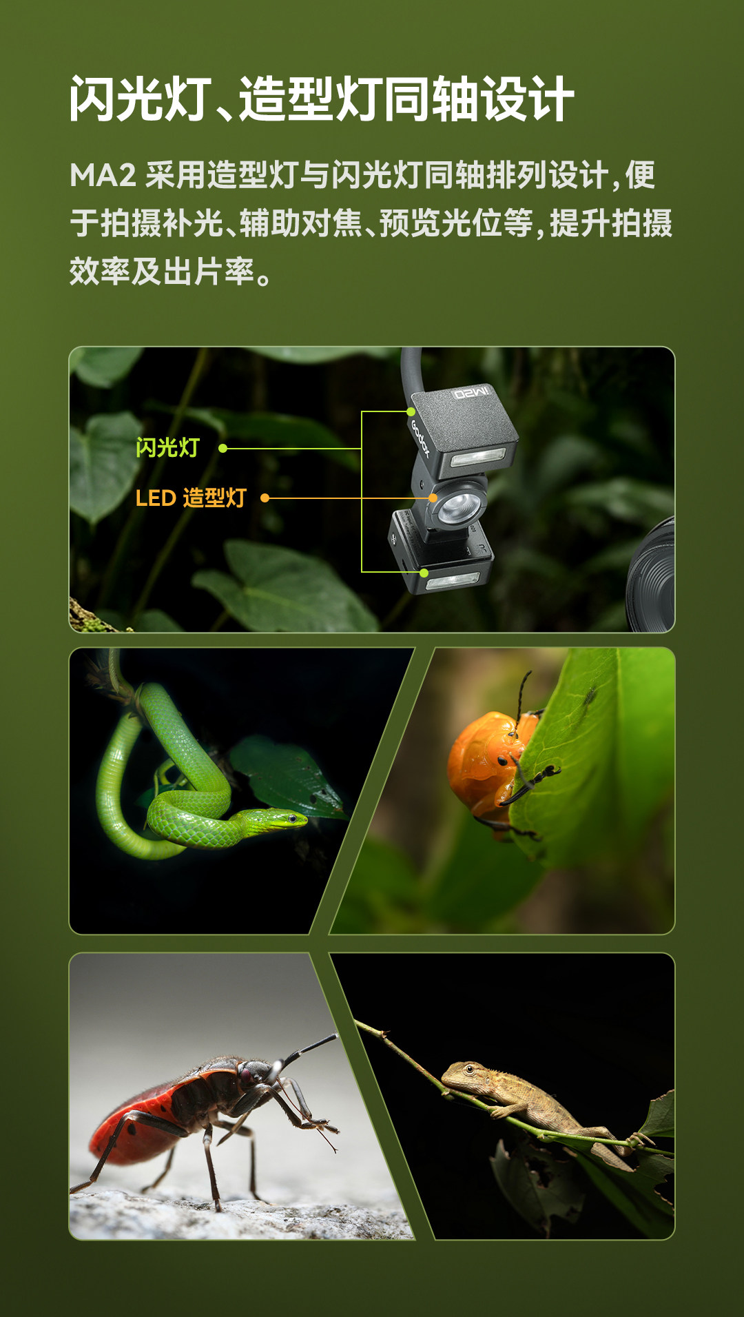 Godox 神牛 MA2 Flexible Macro Twin Light 可調柔性雙頭微距補光燈 圖文描述 03