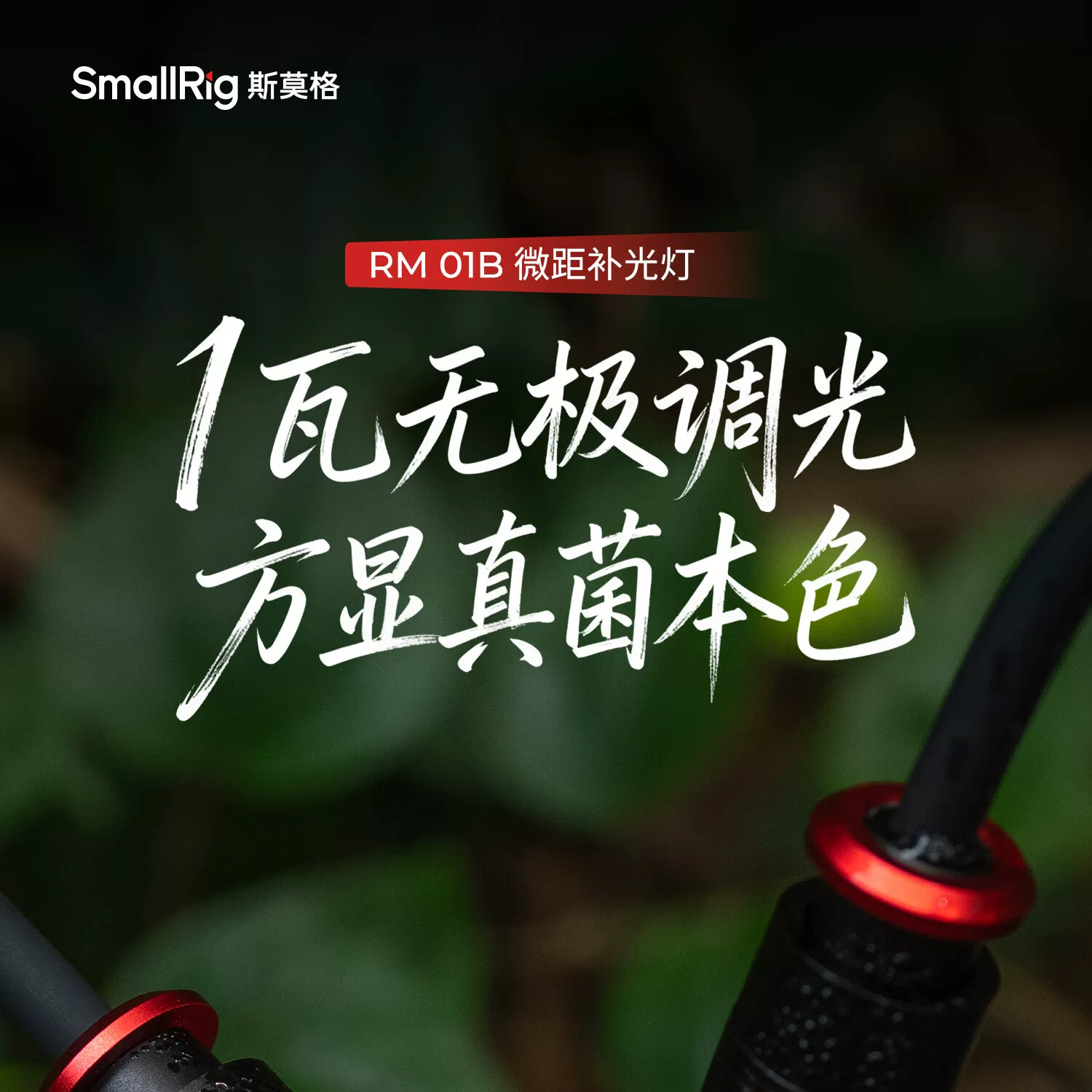 SmallRig 6225 RM 01B Mini Macro Photography LED Light 微距補光燈 圖文描述 01
