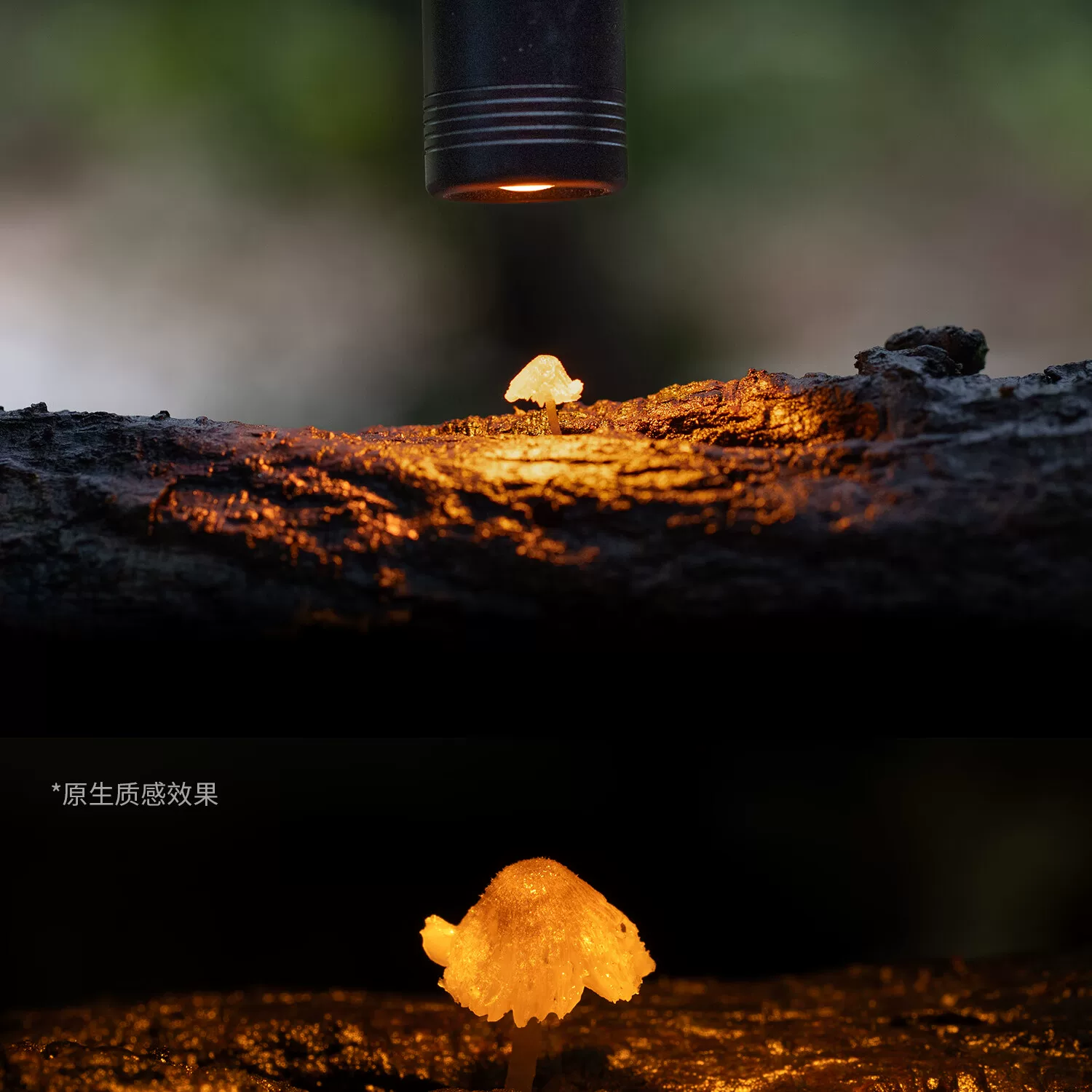 SmallRig 6225 RM 01B Mini Macro Photography LED Light 微距補光燈 圖文描述 08