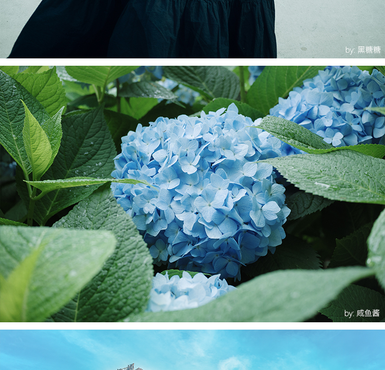 7artisans AF27mm F2.8 Sony E 詳細圖文 28