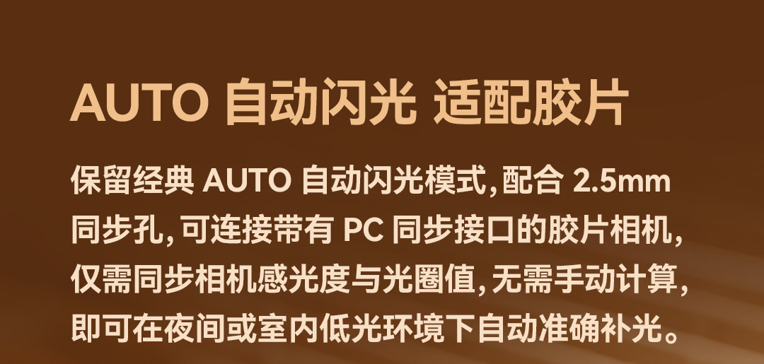 Godox 神牛 Lux Junior II S Retro Camera Flash for Sony 復古機頂閃光燈 圖文描述 10