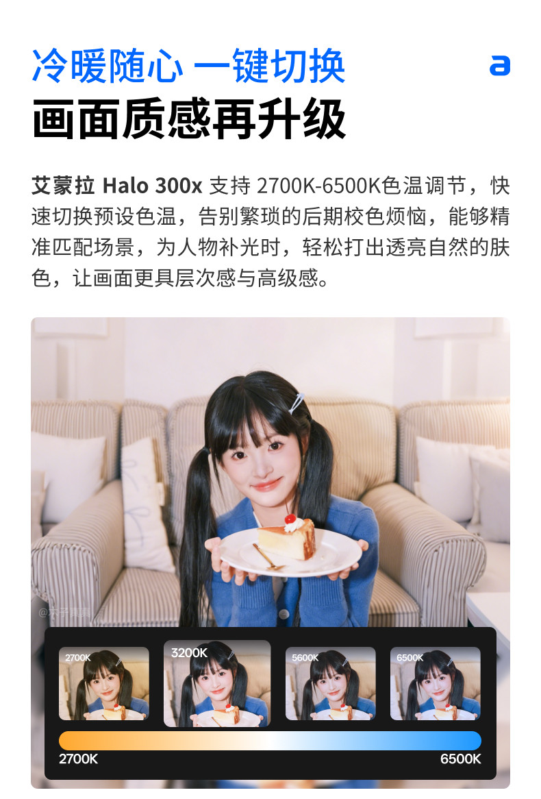 amaran Halo 300x Bi-Color LED Monolight 補光燈 圖文描述 10