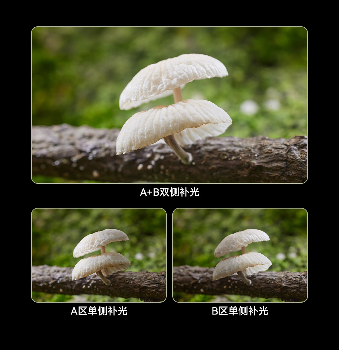 Godox 神牛 MA2 Flexible Macro Twin Light 可調柔性雙頭微距補光燈 圖文描述 06
